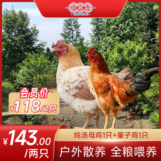 膳本季皖南山林散养【土鸡随心配套餐】 无抗养殖认证 SGS国际权威检测 非笼养示范基地 自然生长的慢速鸡 商品图1