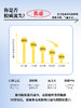 【妍泡泡灵芝刺梨花胶饮】以内养外 定格你的高光肌 一月一箱 光彩自来 商品缩略图5
