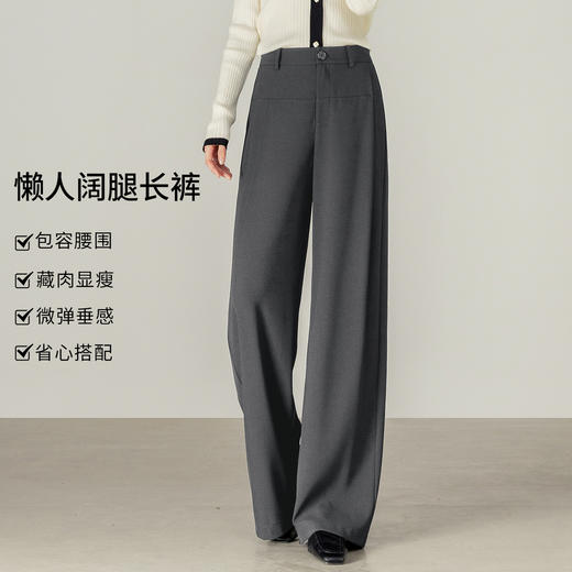 【内购】【显瘦易搭】通勤梨型身材松紧腰立体褶藏肉显瘦宽松阔腿长裤-153KD1629 商品图1