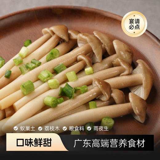 香勤有机荔枝菌 有机种植 250g/盒【顺丰快递】 商品图2