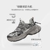 ZHR【增高5cm】银色厚底老爹鞋女2025秋季网面透气轻便运动休闲鞋 商品缩略图2