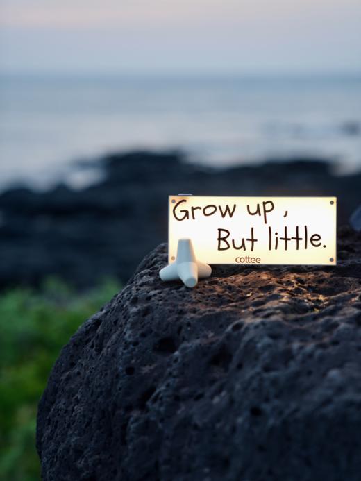 cottee消波块扩香石 商品图1