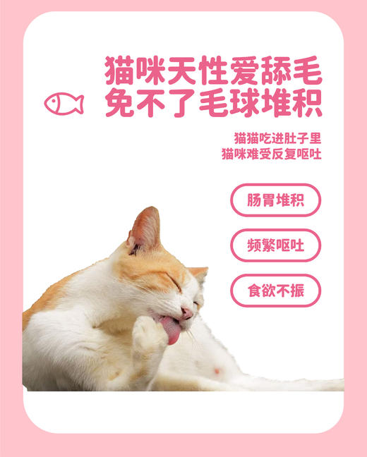 糗糗庄园鸡肉蛋黄猫草拌饭冻干80G/罐 商品图1