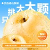 鲜炖大大梨(【大大碗】350g*6 尊享礼盒装) 商品缩略图1