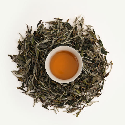 白茶  2020特级白牡丹散茶 150g/袋 商品图4