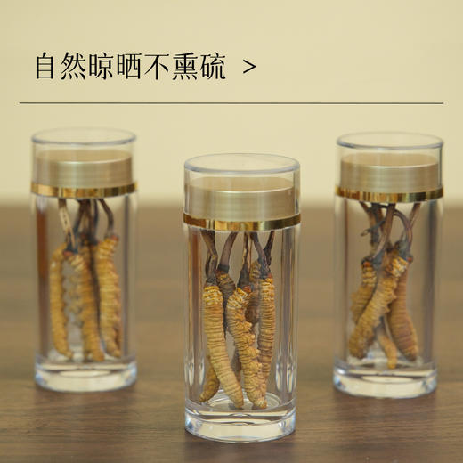 万物本草甄选 纯野生鲜晒高原冬虫夏草 自然晾晒不熏硫 纯野生冬虫夏草 商品图1