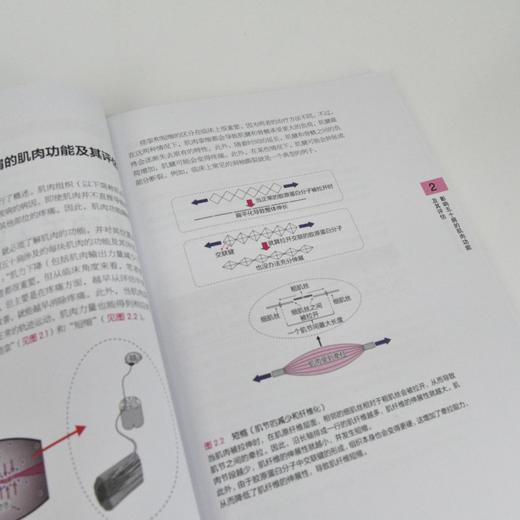五十肩功能障碍评估与运动疗法 缓解疼痛 改善挛缩 提升关节功能 商品图2