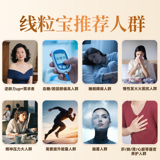 DR·chenjunxu 线粒宝150g 商品图2