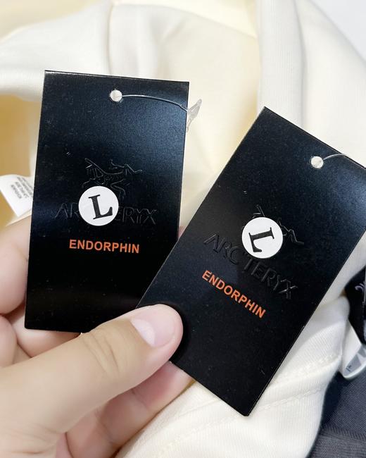 茑家2024秋冬新款纯棉连帽卫衣，休闲运动男女同款 商品图2