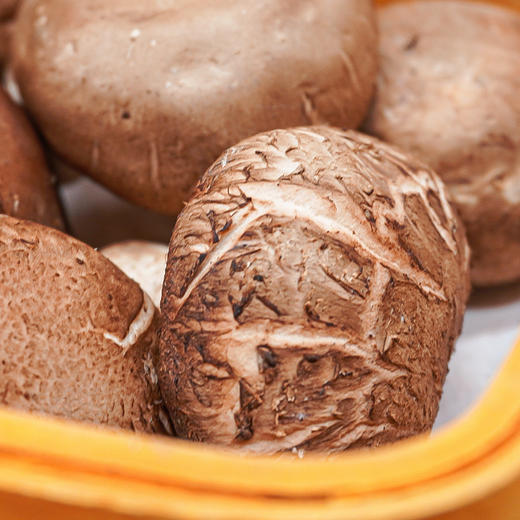 沈佳农有机香菇 有机种植新鲜蔬菜【顺丰快递】 商品图2