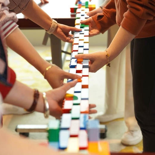 重燃生命力 — 从玩六色积木开始 商品图0