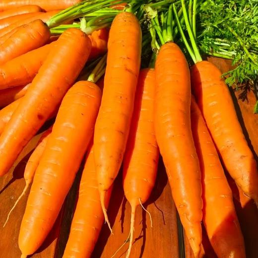 野菜夫人蔬菜有机土豆有机胡萝卜生态大白菜生菜紫甘蓝  生态有机露天种植当季新鲜蔬菜【京东包邮】 商品图0