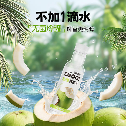 酷可椰 鲜椰水 甄选泰国香水椰 富含电解质300ml/瓶 商品图5