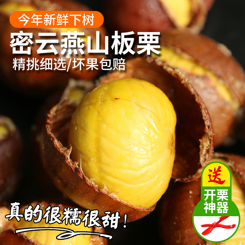 2026年密云燕山板栗  肉质细腻  粉糯香甜 自然成熟 栗子