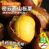 2025年密云燕山板栗  肉质细腻  粉糯香甜 自然成熟 栗子 商品缩略图0