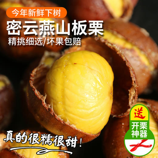 2025年密云燕山板栗  肉质细腻  粉糯香甜 自然成熟 栗子 商品图0