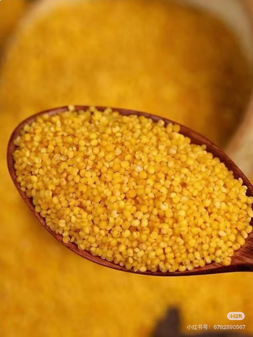 陕北小米 商品图3