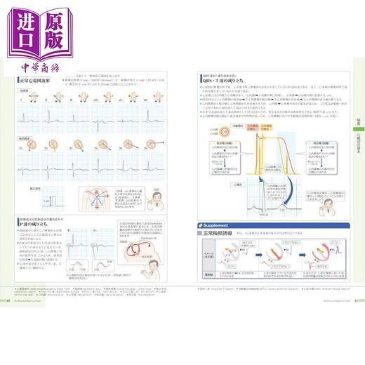 预售 【中商原版】发现病症 vol.2 心脏循环器 日本医学专业留学必备书系列 日文原版日韩 病気がみえる vol.2 循環器 商品图1