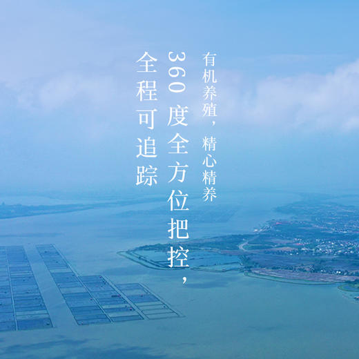 【签收后超6小时死蟹不包赔】阳澄湖牌大闸蟹蒸蒸日上 1688型兑换卡【LXKGZQ8.0】 商品图3