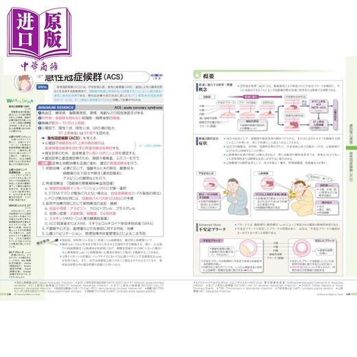 预售 【中商原版】发现病症 vol.2 心脏循环器 日本医学专业留学必备书系列 日文原版日韩 病気がみえる vol.2 循環器 商品图4