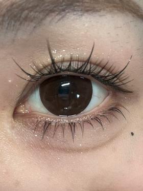 Doriscon半年抛美瞳 咖啡冻 14.5mm