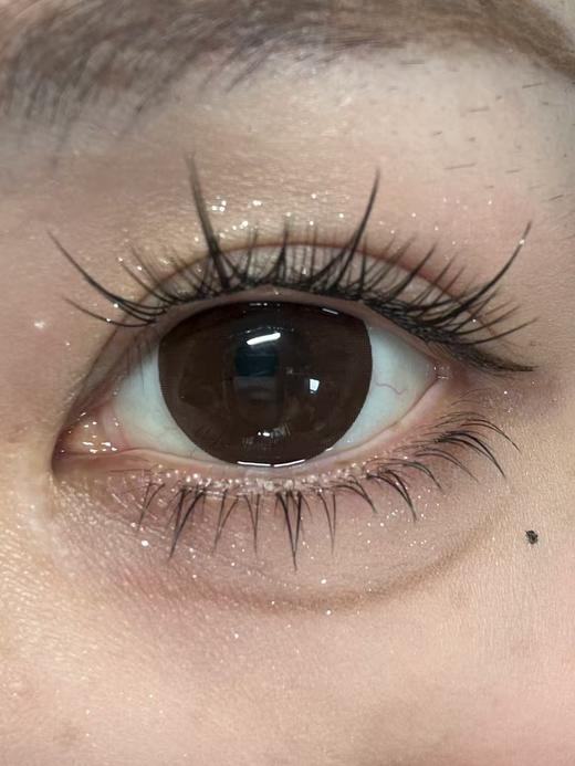 Doriscon半年抛美瞳 咖啡冻 14.5mm 商品图0