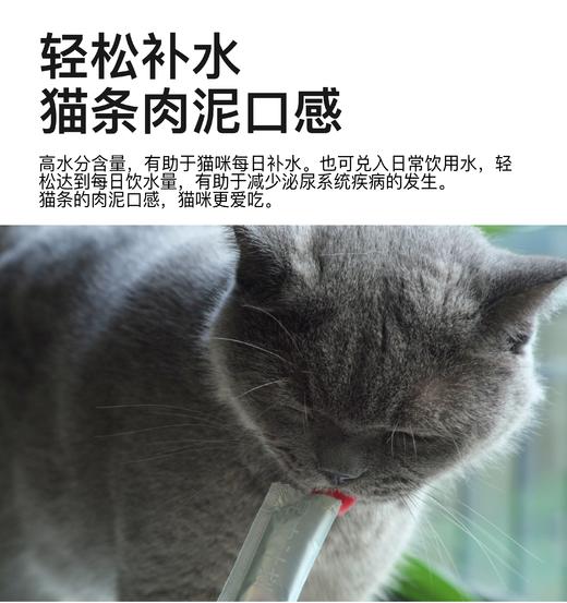 全价昆虫蛋白无谷猫粮&猫冻干&猫罐头&猫条（基地直发-京东快递）|  多种规格，来自昆虫计划，生产者：昆虫计划【合作生产，公平贸易】 商品图14