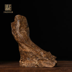 天然达拉干沉香原料 沉水级 SP12064