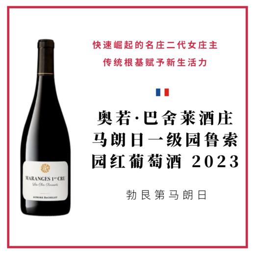 Aurore Bachelet  奥若·巴舍莱酒庄马朗日一级园鲁索园红葡萄酒 2023 商品图0