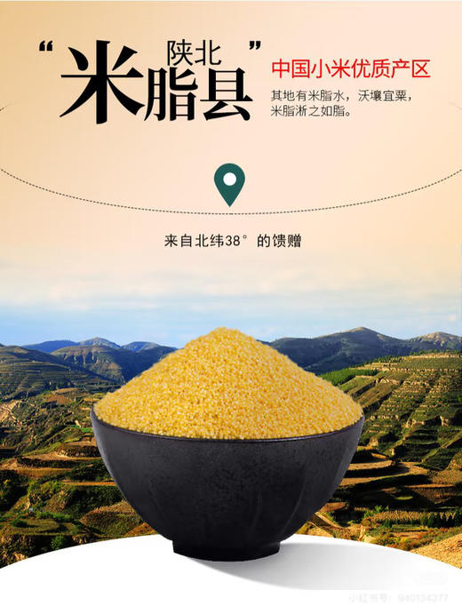 陕北小米 商品图1