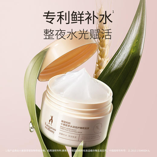 【补水免洗面膜】 干皮必入 小麦专利补水舒缓 免洗配方彻夜润泽 小麦胚芽水润倍护睡眠面膜（80g） 商品图3