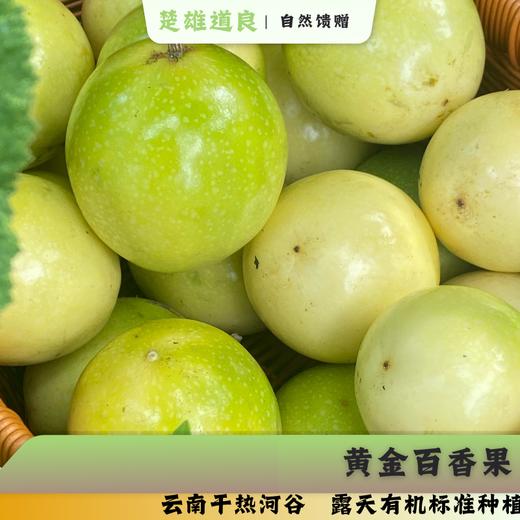 绿康源百香果黄金百香果  露天有机生态种植新鲜采摘水果【顺丰快递】 商品图0