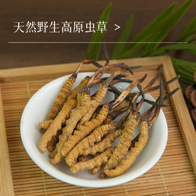 万物本草甄选 纯野生鲜晒高原冬虫夏草 自然晾晒不熏硫 纯野生冬虫夏草