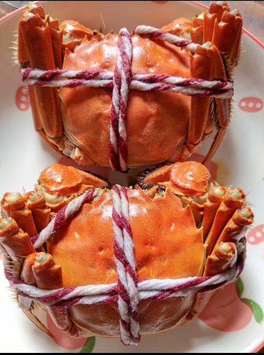 农夫山泉111 商品图0