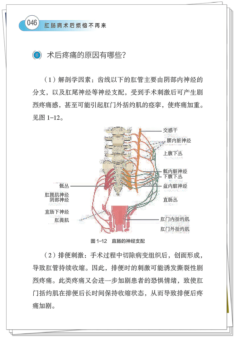 5132-9620-5 肛肠疾病术后烦恼不再来 正文CTP-25.8.26_62_副本.jpg