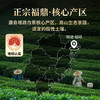【年货礼盒】茶叶 清欢 福鼎白茶 2024年 白毫银针 茶叶礼盒 茶饮 五虎 180g 商品缩略图2