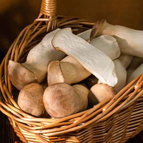 沈佳农有机杏鲍菇 有机种植新鲜采摘蔬菜200g/盒【顺丰快递】