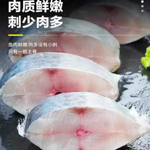 【北海湾鲅鱼】现捕现捞 个大新鲜 精致美味 商品图2