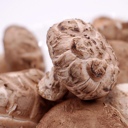 沈佳农有机香菇 有机种植新鲜蔬菜【顺丰快递】 商品图1