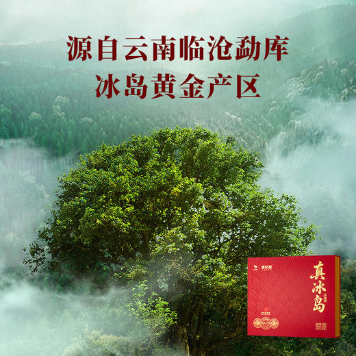 八马茶业 | 信记号真冰岛小金砖普洱熟茶茶叶250g 商品图1