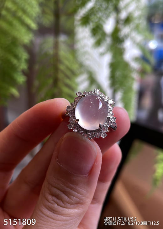 5151809，蛋面戒指。具体价格微信咨询 商品图1