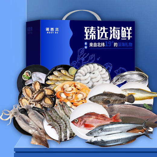 诺西贝海鲜-1298型【LXKGZQ8.0】 商品图1