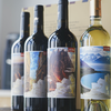 顺丰/京东发货！【大美新疆·珍藏版葡萄酒】6大西域风情+6款不同风味 干白/干红/桃红 750ml*6瓶/送礼盒装+海马刀 商品缩略图13