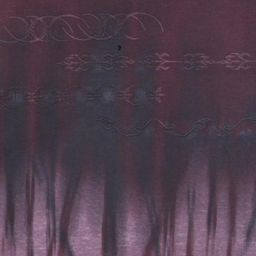 SDSA男士秋冬新款痞帅男装潮牌渐变刺绣图案圆领卫衣百搭复古上衣 商品图2