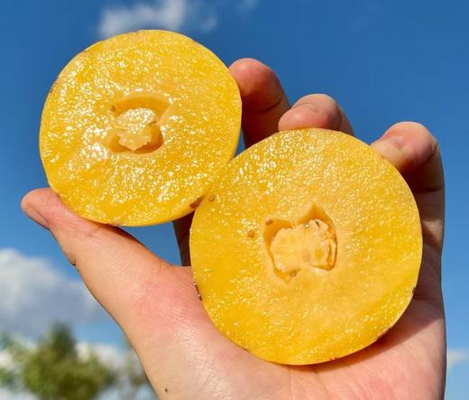 石林路花村树熟人参果|山人优选，坚持只做树上熟，一口咬回阳光的味道！ 商品图0