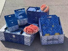 【整车到货】平和红心柚  多乐幸运柚 皮薄肉甜汁水足 每一颗都是精挑细选 包装高端大气