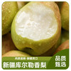 京鲜生新疆库尔勒香梨 净重4.5斤单果120g+ 新鲜水果 源头直发包邮 商品缩略图3