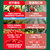 冠农股份新疆NFC原榨番茄汁饮料 纯果汁0添加蔗糖西红柿果蔬汁310ml*12罐 /水饮冲调 /饮料 /果蔬汁/饮料 商品缩略图3