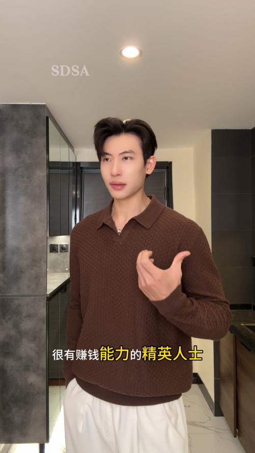 2016SDSA男士秋冬新款痞帅男装复古格纹海鸥领设计针织衫百搭时尚毛衣 商品图0