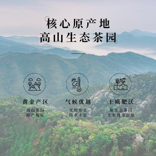 ⁶【暴富茶礼盒】两饼生茶+两饼熟茶组合（礼盒装，布朗山百年古树产区【洪海古树】SS06-CR-ZPH 商品图2